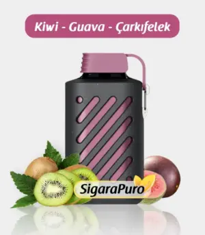Vozol 10000 Kiwi Guava Passion Fruit satın al