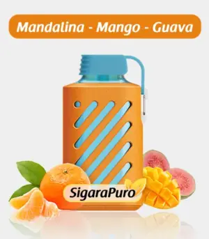 Vozol 10000 Tangerine Mango Guava satın al